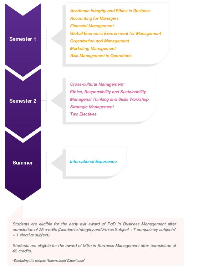 bm_study_timeline_2024