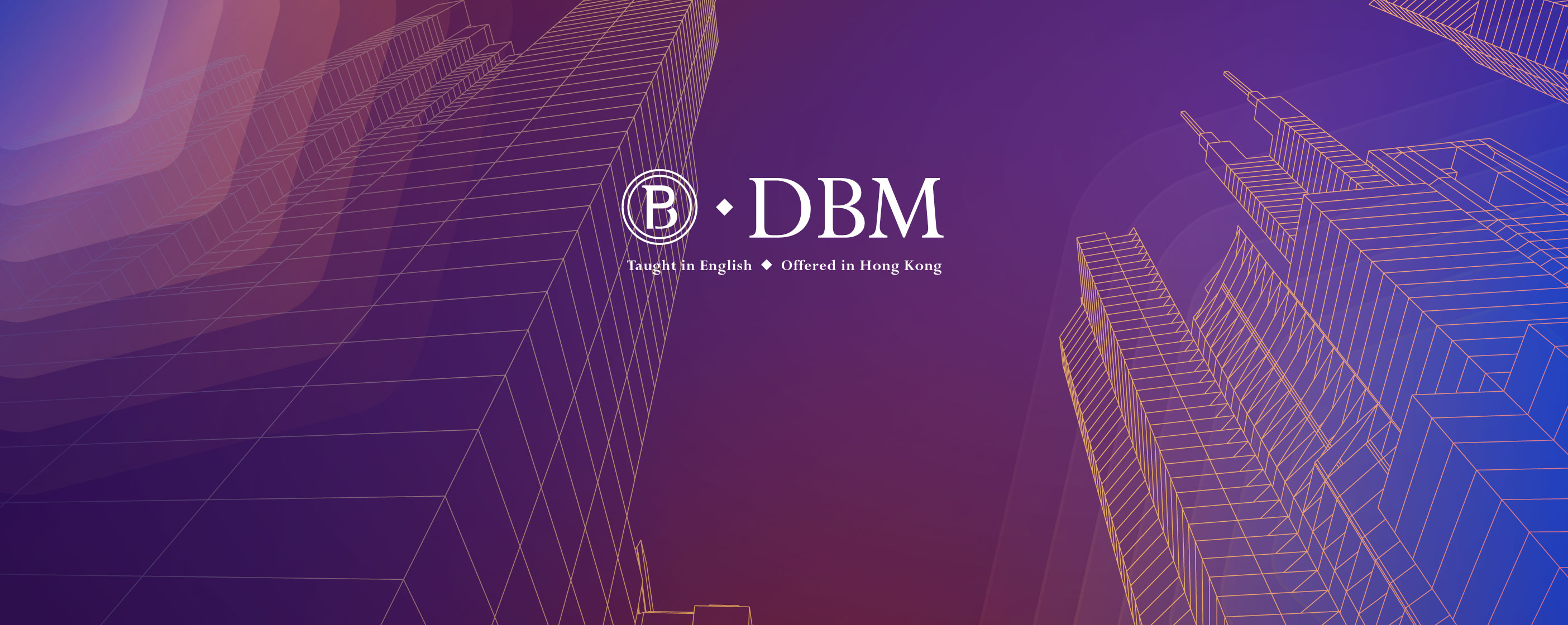 PolyU DBM