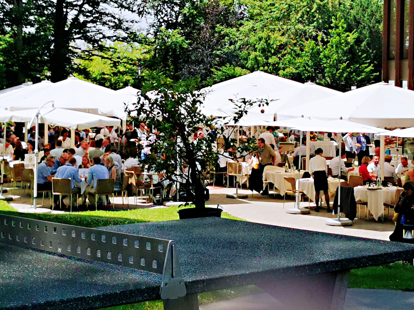 IMG-20190625-WA0024_mh1561493098609