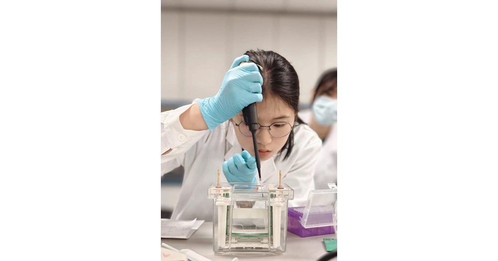 The team spent months in rigorous laboratory work and comprehensive project development.