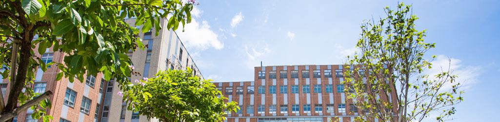 Campus 0105_banner