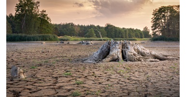 1 Flash droughts occur due to rapid depletion of soil moisture