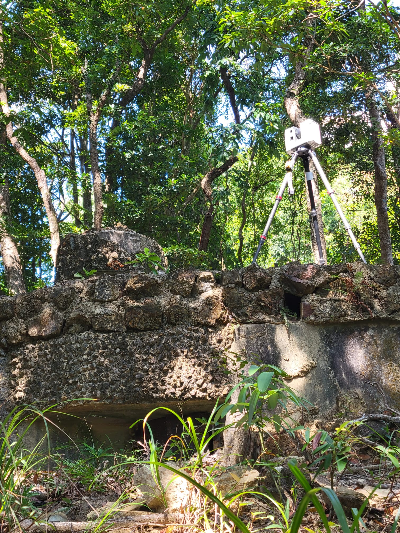 WhatsApp Image 20221207 at 190928