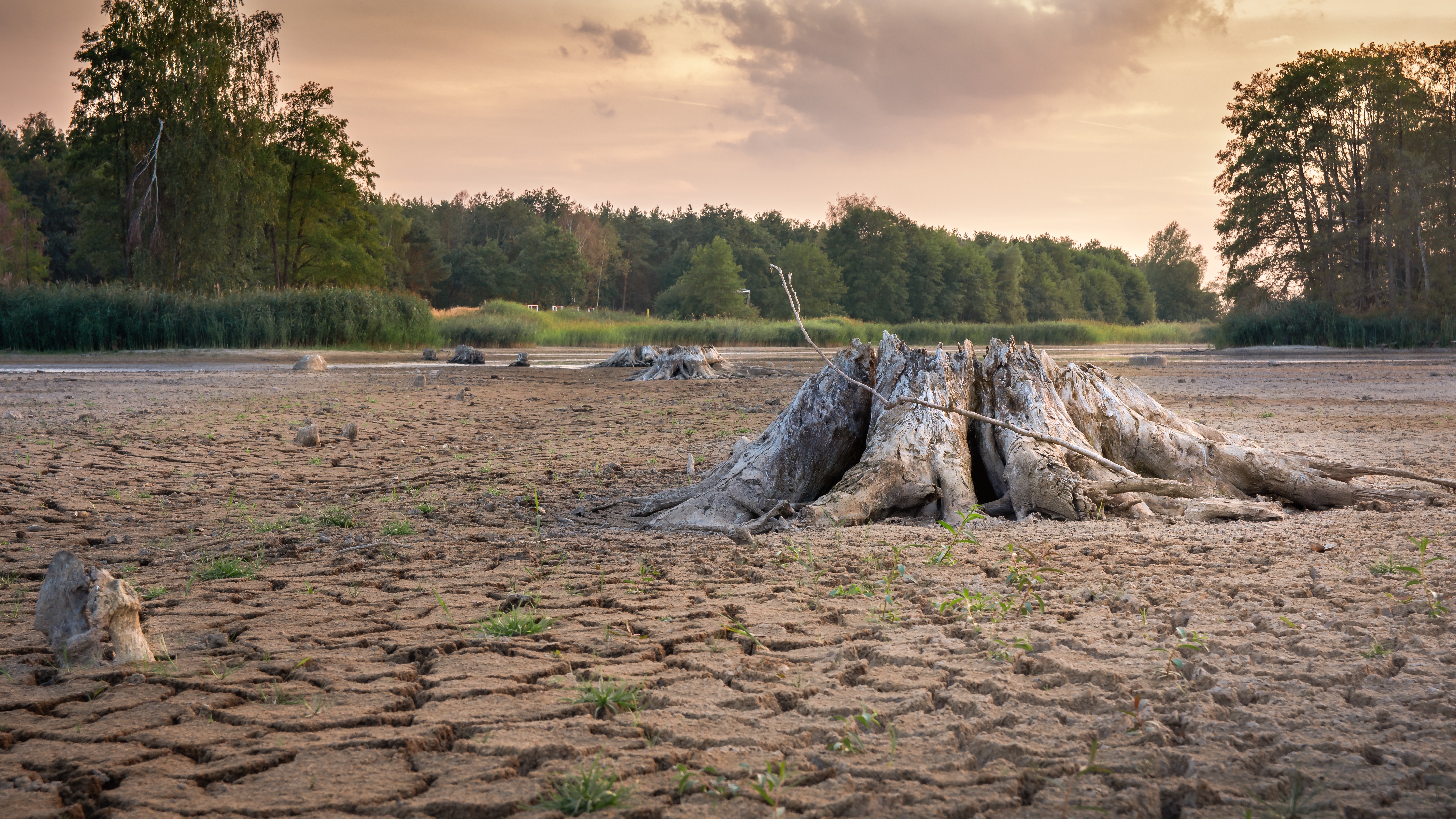 1 Flash droughts occur due to rapid depletion of soil moisture