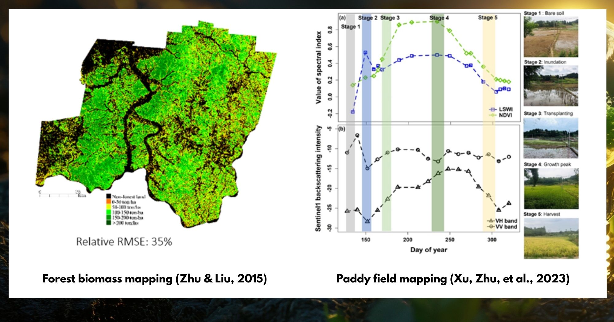Fig. 2 Land surface parameters mapping: e.g., tree species mapping, biomass mapping, crop type mapping, carbon flux monitoring