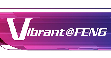 VibrantFENG