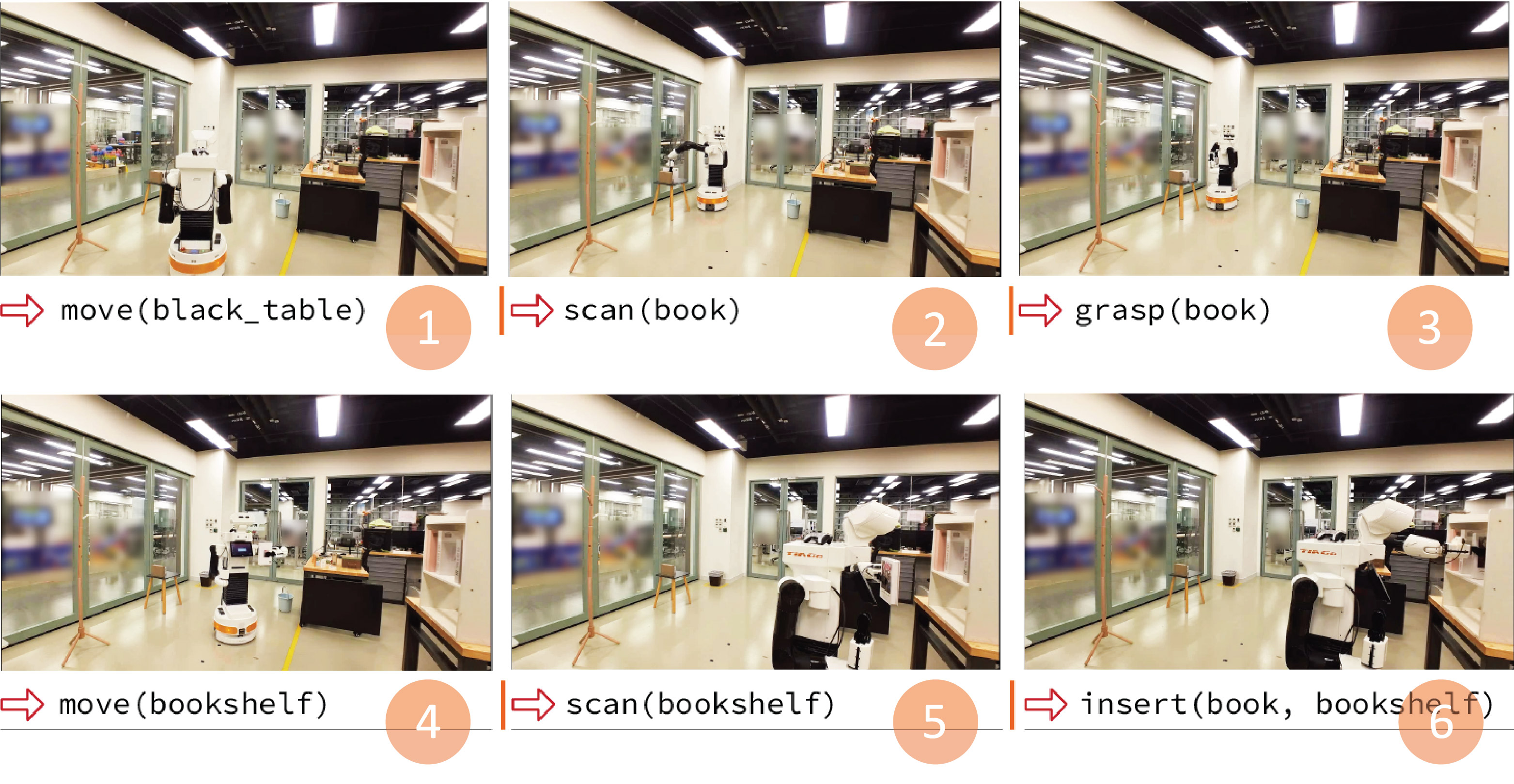 Prof David 101 fit02