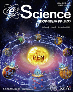 eScience cover
