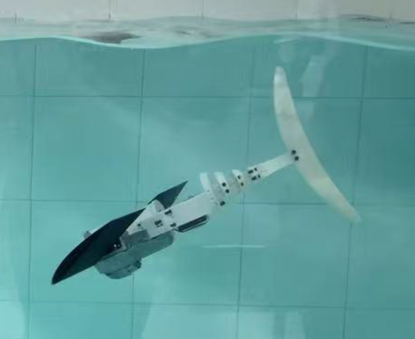 ac45dd90909703c2fdf876b8c24b7763