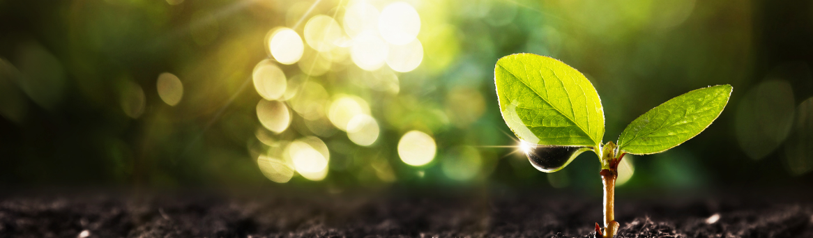 StartUpFunding 1166 x 342 px