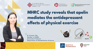 MHRC study reveals apelin mediate antidepressant effects of physical exercise_2000 x 1050