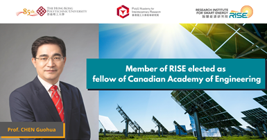 Website - fellow of Canadian Academy of Engineering