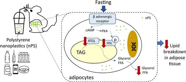 RA01_abstract figure