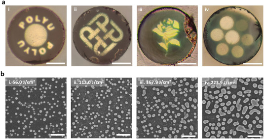 Ultraminiature optical fiber-tip plasmonic biosensors for label-free ...