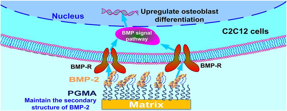 RA061s20S2452199X22005254ga1lrg