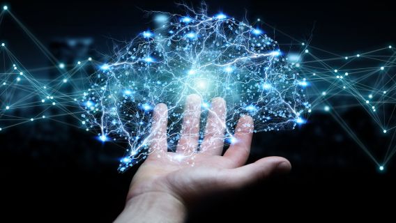 MHRC - PAIR AEP 568x320