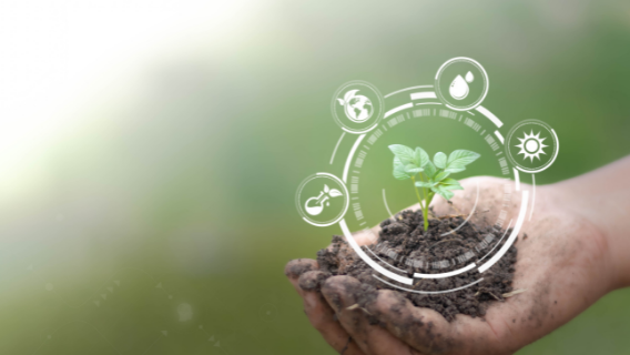 Research Focus Area  568 x 320 px