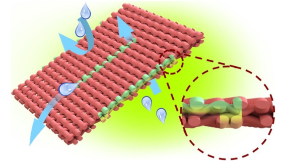 RCTFF Research Highlights 568320