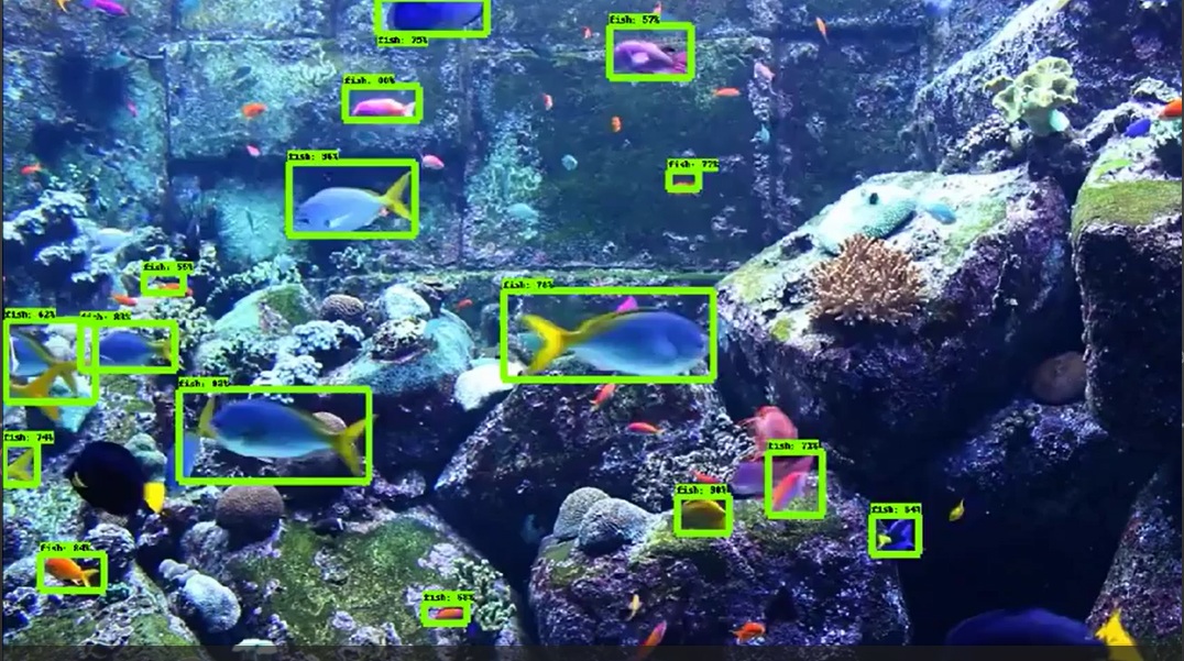 Floating Farm AI fish detection