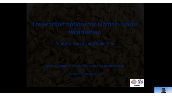 RCRE_13_New insights into biomass ash valorization