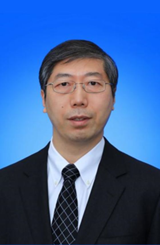 Prof LENG Jinsong 560 x 860