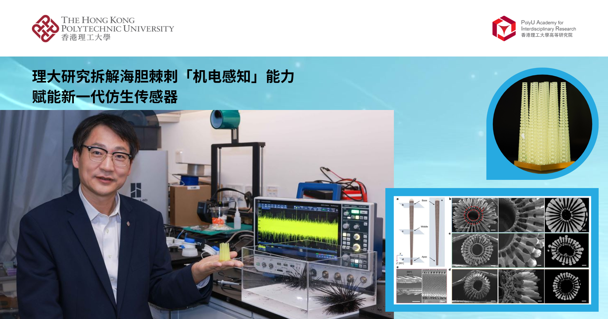 理大研究拆解海胆棘刺「机电感知」能力　赋能新一代仿生传感器