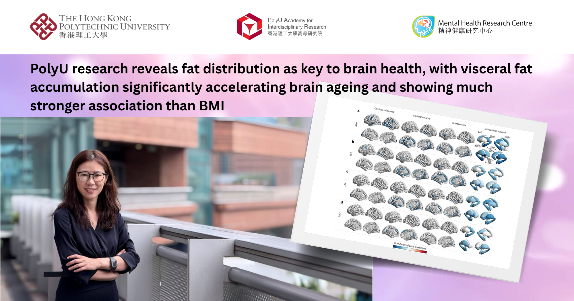 PolyU research reveals fat distribution as key to brain health, with visceral fat accumulation significantly accelerating brain ageing and showing much stronger association than BMI