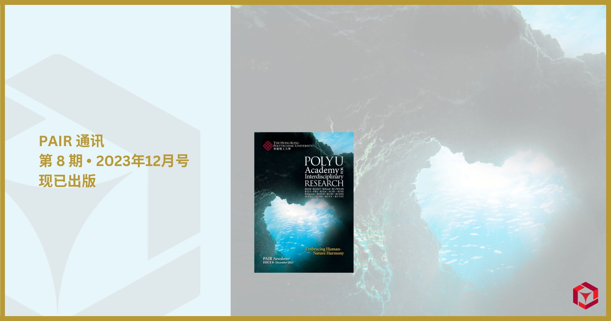 PAIR Newsletter  Issue 82000 x 1050 pxSC