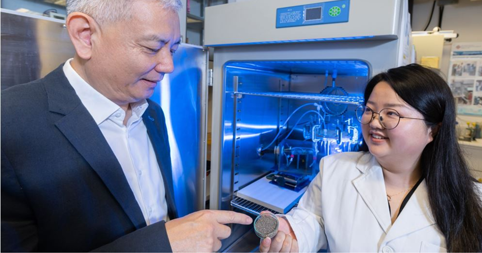 RA02_soil nitrous acid emissions
