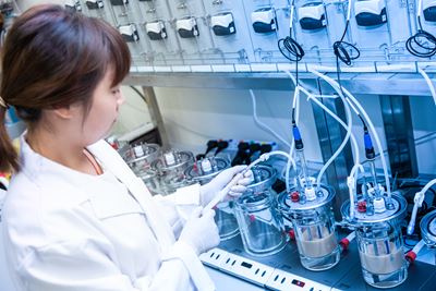 Fecal bacterial project