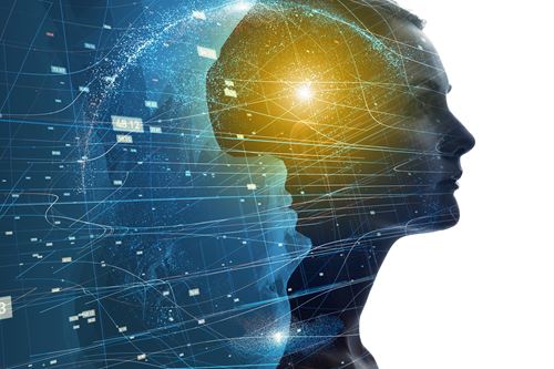 shutterstock_768013045