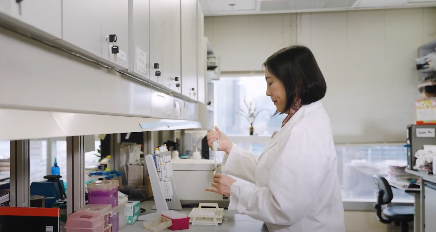 FS 03 Prof MS Wong 3