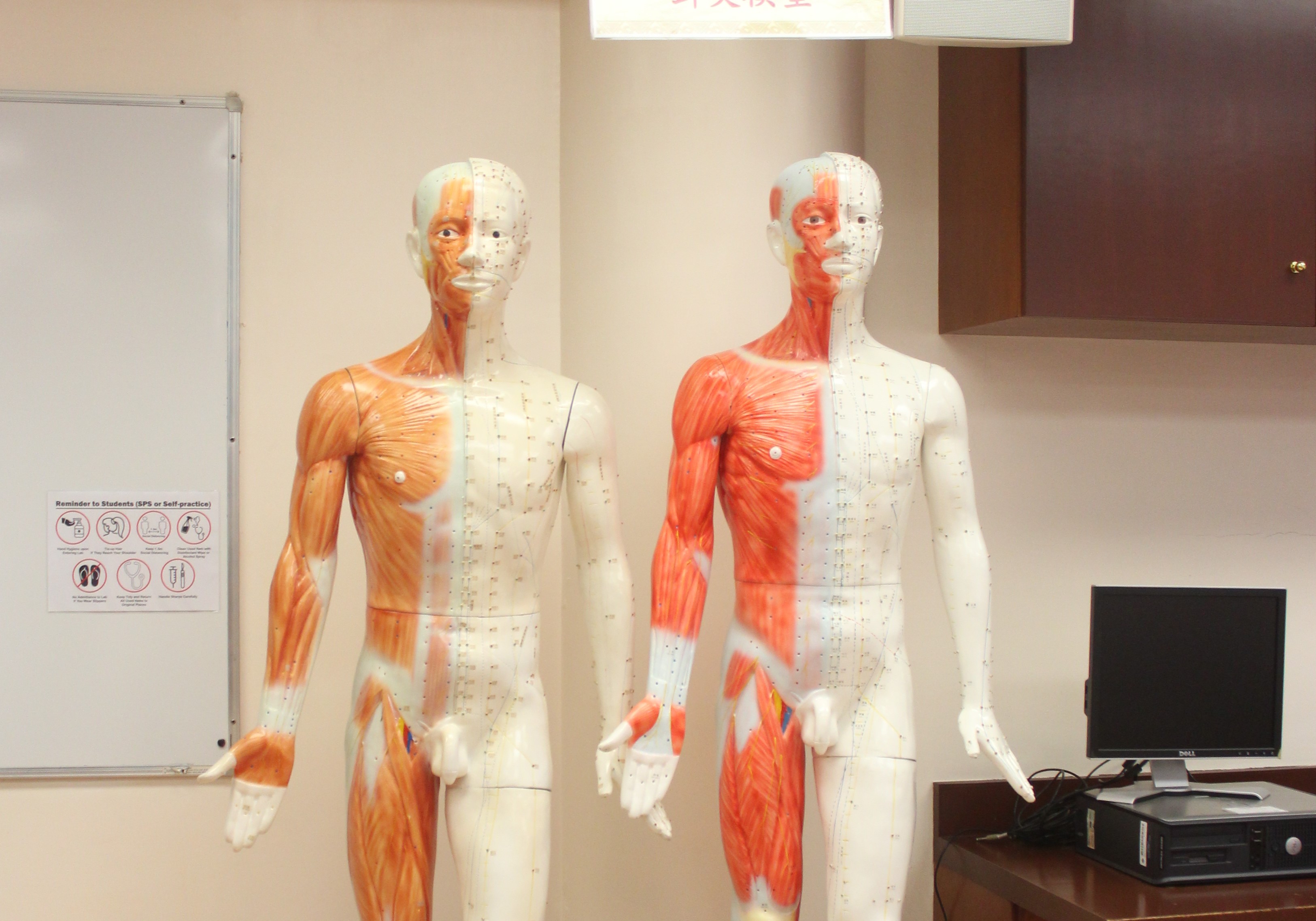 FS 03r SN Yuen Yuen Institute Chinese Medicinal Nursing Lab 2