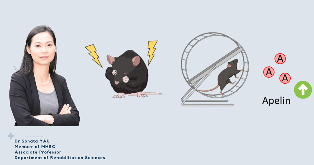 RA02MHRC study reveals apelin mediate antidepressant effects of physical exercise2000 x 1050newslett