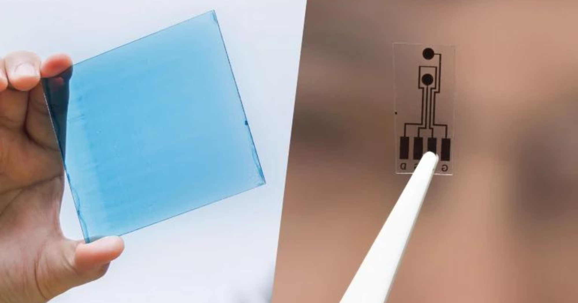 20230614 interviewed by nature portfolio 2