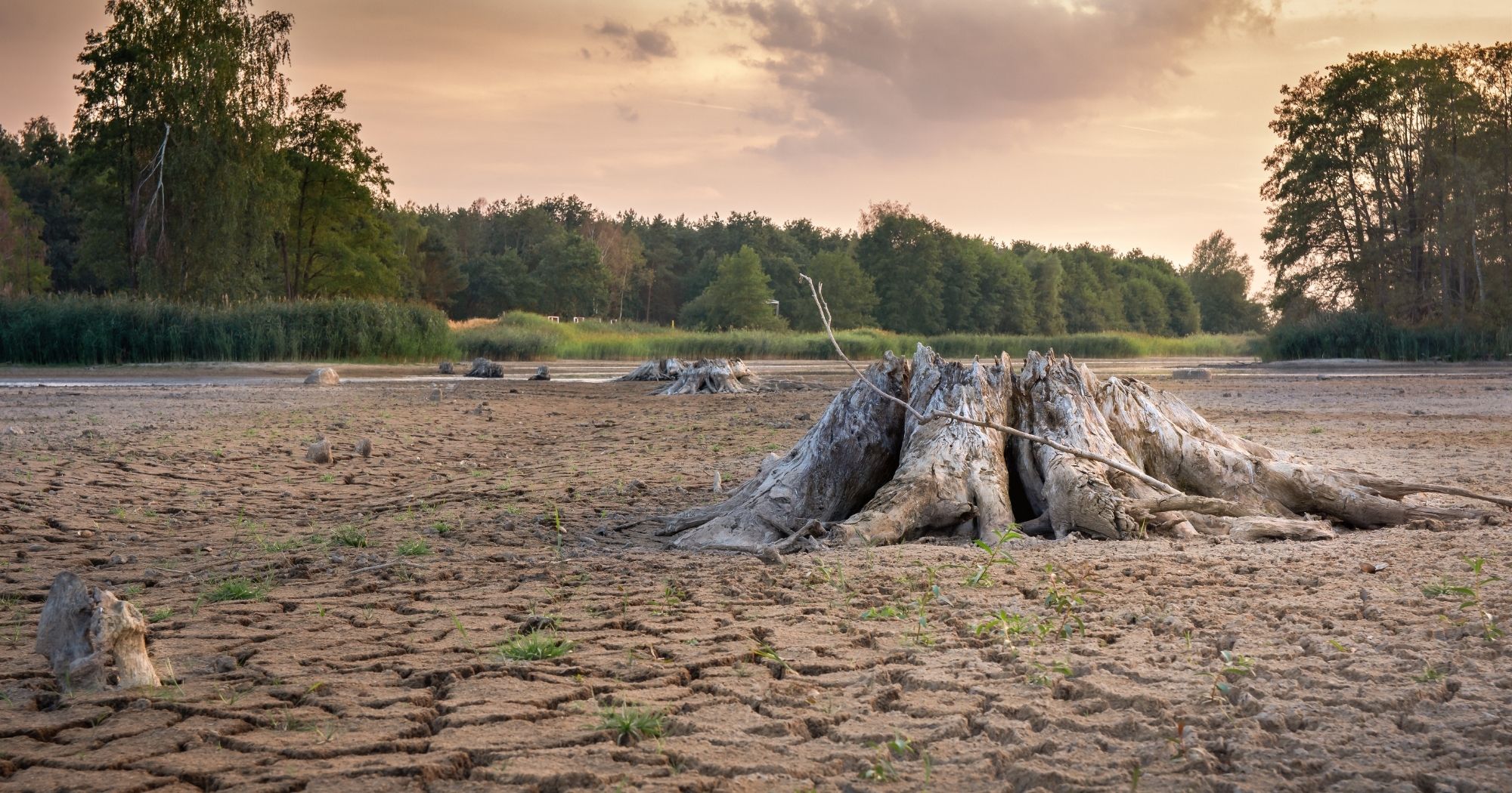 20220321  Dr Shuo WANGs publication