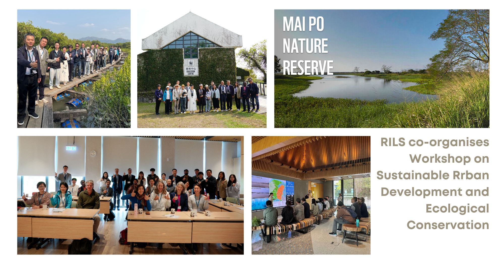 20250425_Maipo Workshop