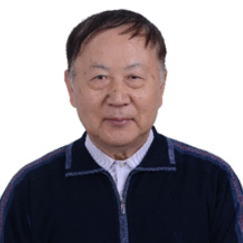 Prof LI Yongfang