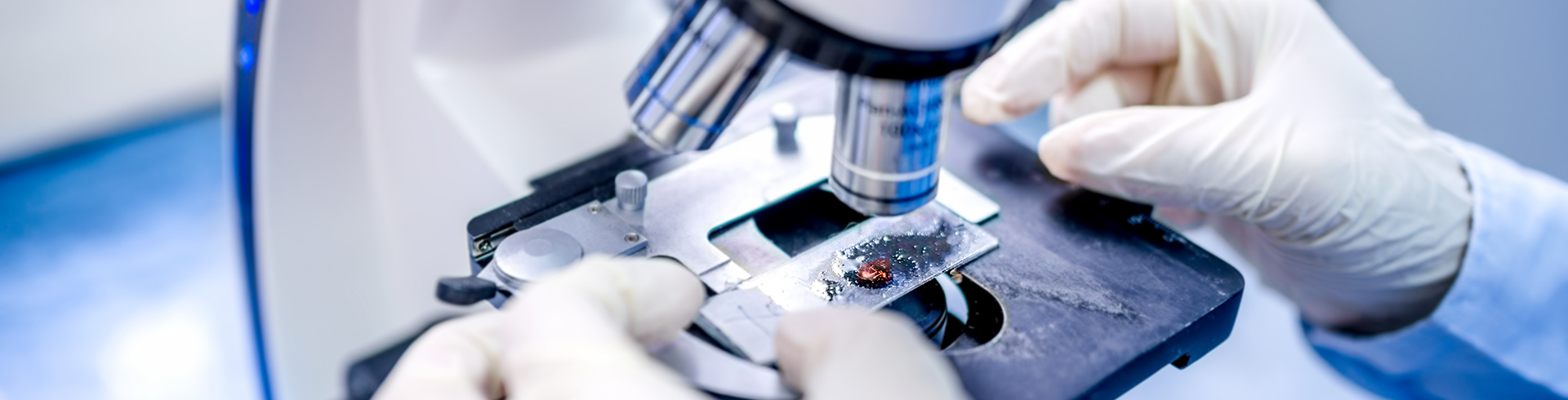 sample on microscope