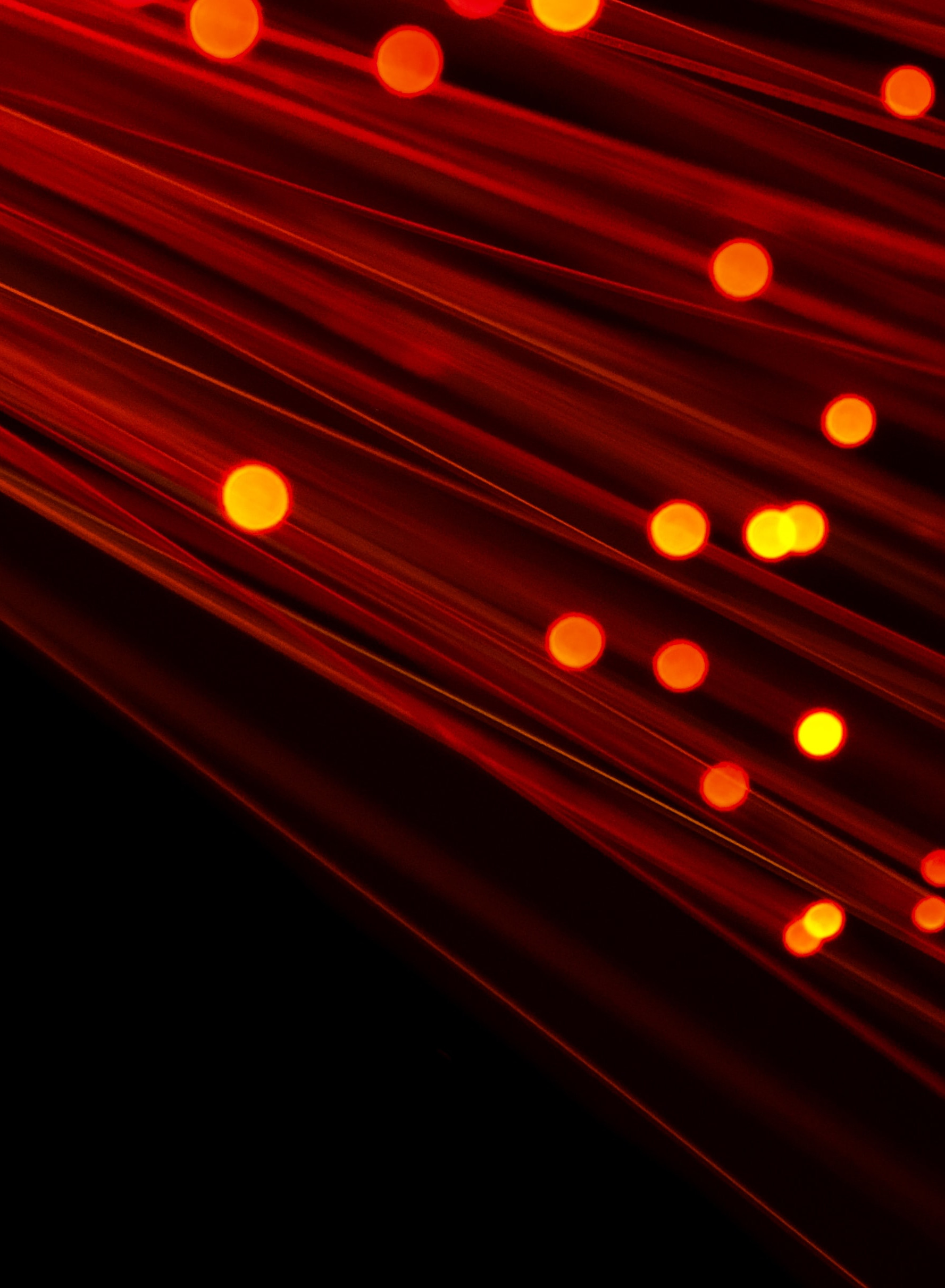orange fiber bundle