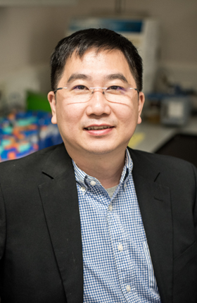 Prof. Mo Yang