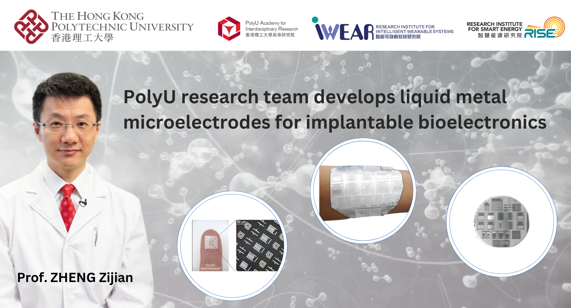 PolyU research team develops liquid metal microelectrodes for implantable bioelectronics