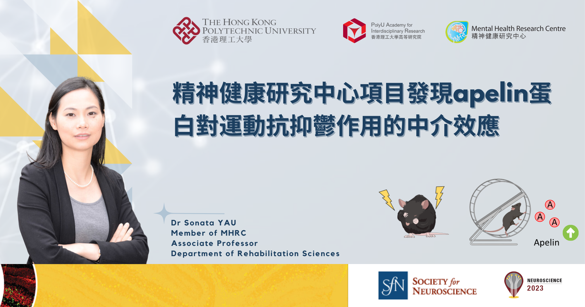 MHRC study reveals apelin mediate antidepressant effects of physical exercise_2000 x 1050_TC