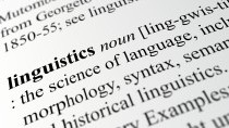 Linguistics paper selected as Editor’s Choice by top journal