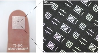 μLMEs with a high density of 75,500 electrodes/cm2