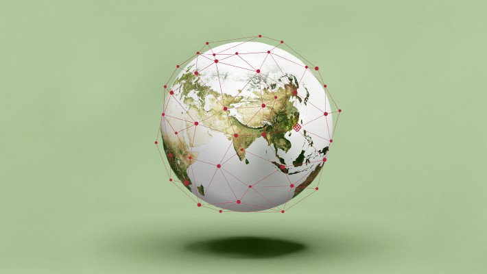 Going Global: Bringing Home New Perspectives