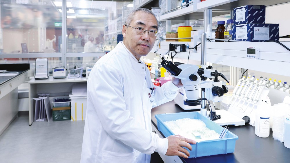 Professor Zhang at work in his state-of-the-art JC STEM Lab of Genomics in Healthcare