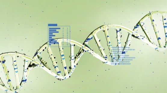 Cracking the Code of Complex Diseases