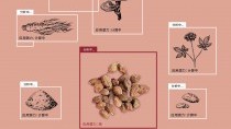 帕金森与阿尔茨海默病患者的新希望