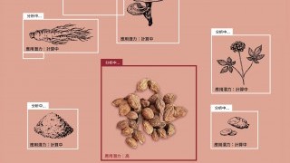 柏金遜與阿茨海默症患者的新希望